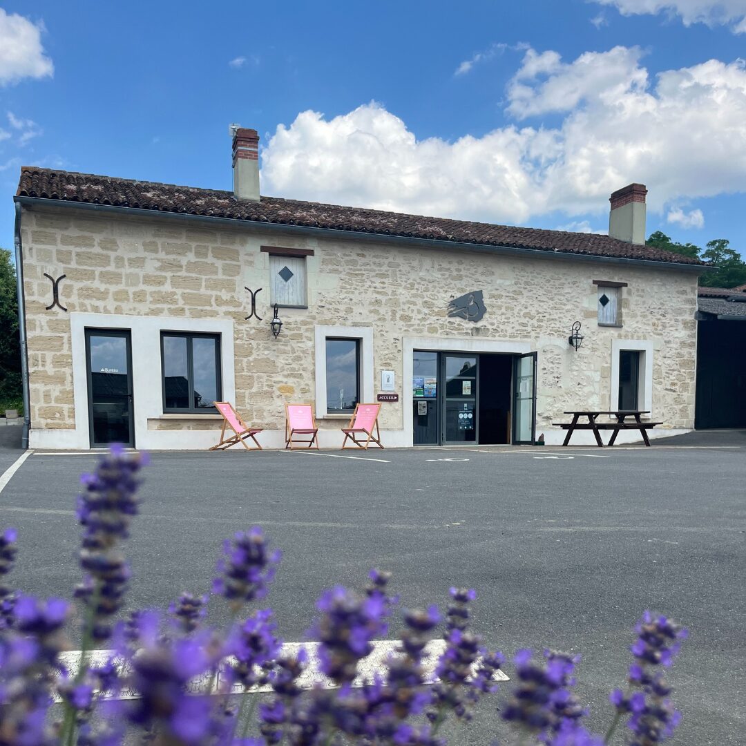 Visite et dégustation du domaine privatisée